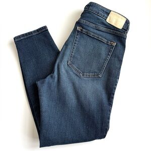 Everlane The Curvy High Rise Skinny Jean 31